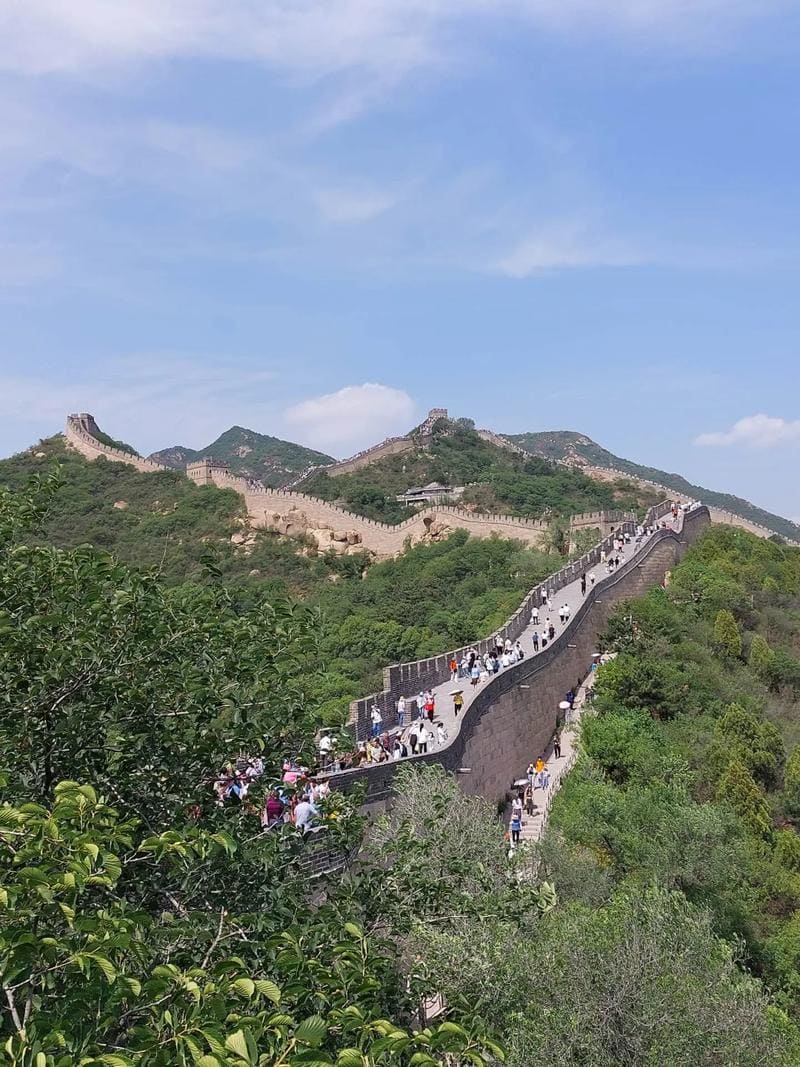 Peking image